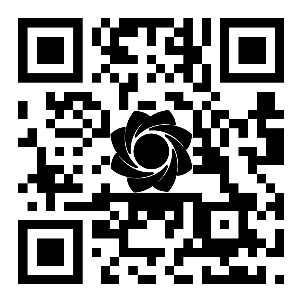 سکه تصویر امام